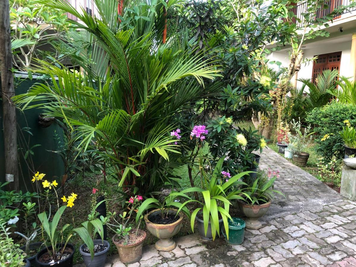 Coral Palm Villa And Apartment Unawatuna Kültér fotó